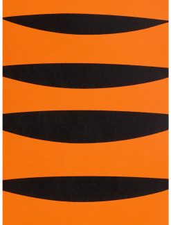 LNGEFLY Loungefly Disney Winnie The Pooh Tigger Upside Down Mini Backpack 5 LNGEFLY Loungefly Disney Winnie The Pooh Tigger Upside Down Mini Backpack -transcendentactive shop 18420041 av3