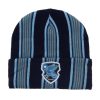 Bioworld Harry Potter Ravenclaw Striped Cuff Beanie - BoxLunch Exclusive -transcendentactive shop 19228931 hi