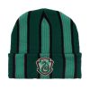 Bioworld Harry Potter Slytherin Striped Cuff Beanie -transcendentactive shop 19228944 hi